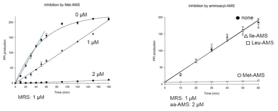 Aminoacyl-AMS의 MRS 활성 저해. Met-AMS의 농도에 따른 MRS 활성의 감소 (왼쪽), Leu-AMS와 Ile-AMS에 의한 MRS 활성 저해 (오른쪽)