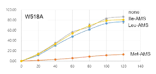 Met-AMS과 Leu-AMS, Ile-AMS에 의한 MRS W518A의 활성 저해 효과