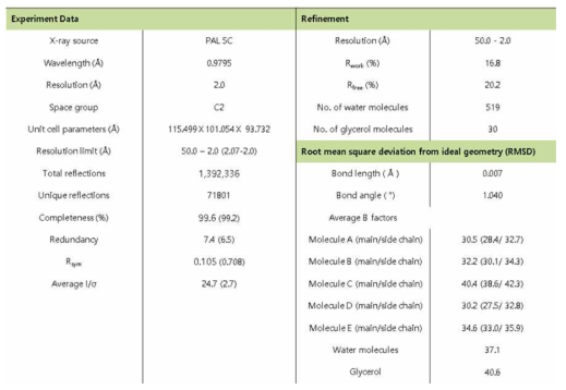 eEF1Bγ218-eEF1Bδ78 complex 결정의 data collection과 refinement statistics