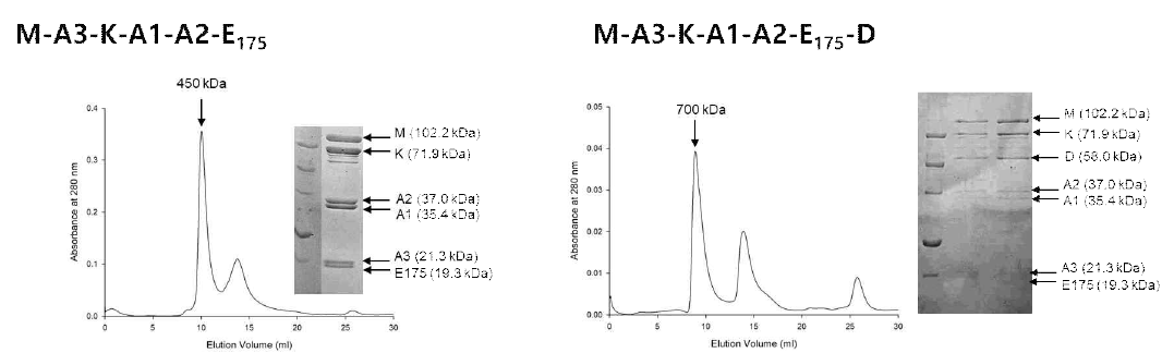 KRS complex의 DRS에 의한 duplication. MRS-AIMP3-KRS-AIMP1-AIMP2-EPRS complex는 monomeric이나 DRS가 부가된 complex는 dimeric이다