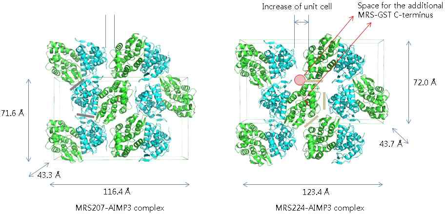 두 가지 MRS-AIMP3 complex 결정체에서 단백질의 packing 비교