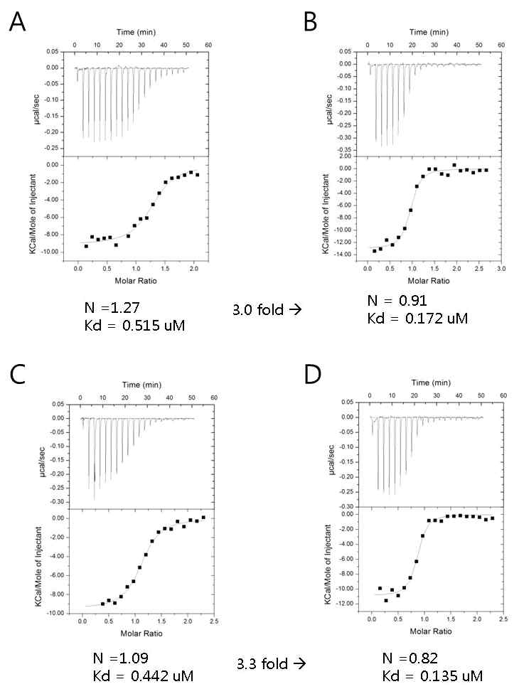 Interaction of GST domains in MSC. (A) MRSGST와 AIMP3, EPRSGST, AIMP2SGST는 함께 column에 붙어 정제된다. (B) Gel-filtration상에서 MRSGST와 AIMP3, EPRSGST, AIMP2SGST는 함께 용출되어 나오며 그 크기는 네 단백질의 분자량을 합한 정도이다