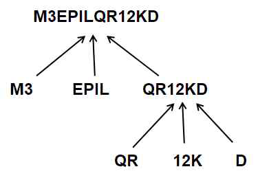 MSC in vitro reconstitution을 위한 전략. 세 가지 subcomplex (MRS-AIMP3, EPRS-IRS-LRS, QRS-RRSAIMP1- AIMP2-KRS-DRS)를 제조하고 이들을 혼합하여 MSC를 만든다. QRS-RRS-AIMP1-AIMP2-KRS-DRS subcomplex는 QRS-RRS과 AIMP1-AIMP2-KRS, DRS를 혼합하여 만든다