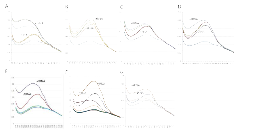 ARS의 tRNA 결합. KRS (A), LRS (B), RRS (C), QRS (D), ERS (E), MRS (F), DRS (G)에 의한 tRNA pull down. 260 nm에서의 UV absorbance 증가