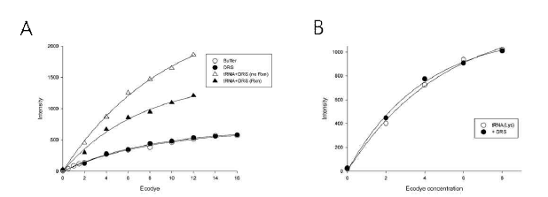 (A) tRNA에 결합에 따른 형광물질의 형광증가. DRS 단독에 의한 형광 증가, 감소 효과는 없음. 그러나 tRNA의 형광증가를 감소시킴. (B) DRS에 의한 tRNA 형광감소는 tRNA(Lys)에서는 볼 수 없음