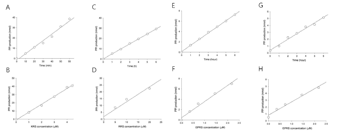 ARS의 pyrophosphate production 활성. KRS (A, B), RRS (C, D), EPRS의 ERS (E, F), PRS (G, H)의 활성을 측정. 반응시간에 따른 pyrophosphate의 생산 증가 (A, C, E, G)와 효소양에 따른 pyrophosphate의 생산 증가 (B, D, F, H)