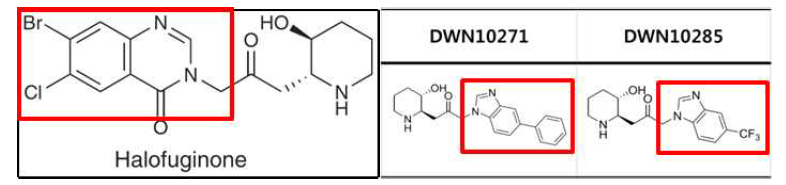 Halofuginone의 모식도(좌)와 DWN10271과 DWN10285의 모식도(우)