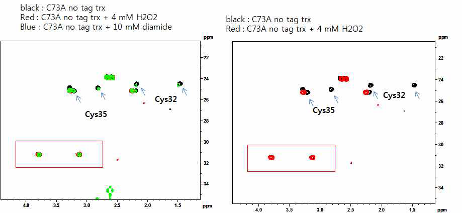 NMR을 이용한 disulfide bond 형성과정의 관측