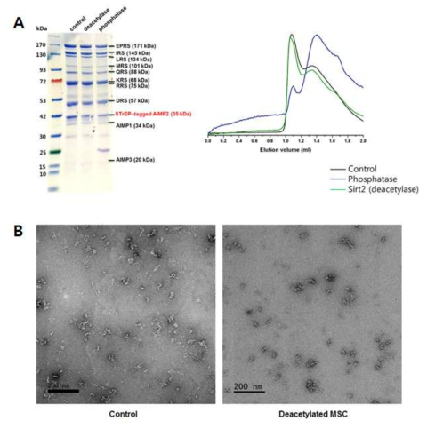 Demodification을 통한 stable MSC 존재 가능 조건 탐색