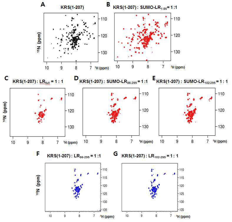 (A) KRS(1-207)의 1H-15N TROSY spectra. (B) KRS(1-207)에 SUMO-LR(1-86)첨가 후 KRS(1-207)의 1H-15N TROSY spectra. (C)KRS(1-207)에 LR full 첨가 후 KRS(1-207)의 1H-15N TROSY spectra. (D) KRS(1-207)에 SUMO-LR(86-295)첨가 후 KRS(1-207)의 1H-15N TROSY spectra. (E)KRS(1-207)에 SUMO-LR(102-295)첨가 후 KRS(1-207)의 1H-15N TROSY spectra. (F)KRS(1-207)에 LR(86-295)첨가 후 KRS(1-207)의 1H-15N TROSY spectra. (G)KRS(1-207)에 SUMO-LR(102-295)첨가 후 KRS(1-207)의 1H-15N TROSY spectra
