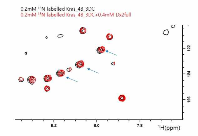 0.2mM 15N K-ras 4B 3DC (검정색) 에 0.4mM DX2 Full을 첨가 후 (빨간색) 의 1H-15N TROSY spectra