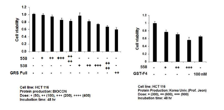 GRS(558-685) 및 GRS(538-685) fragments의 암세포 억제능 비교