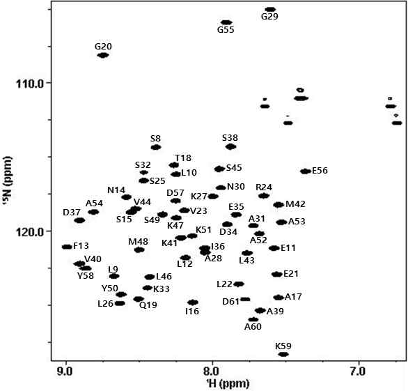 WRS의 WHEP domain (aa 7-61)의 NMR 신호규명