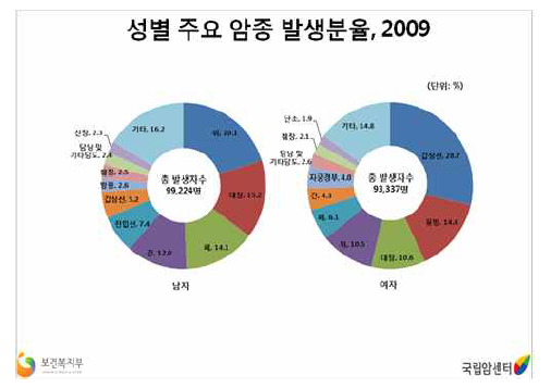 국가 암 발생분율