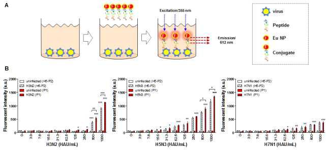 펩타이드를 fluorescent probe를 이용하여 96 well plate에 바이러스를 coating한뒤 바이러스 반응성을 측정하였음