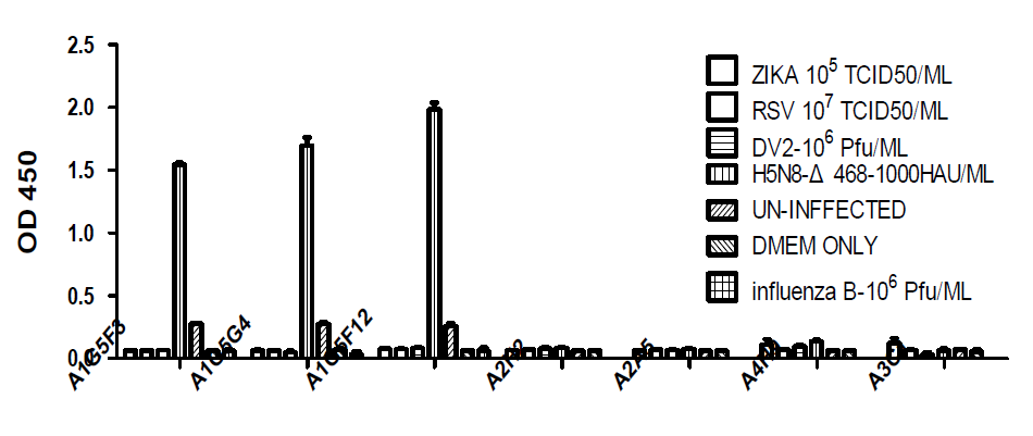 limit dilution 한 clone에 대한 다른 바이러스 반응성