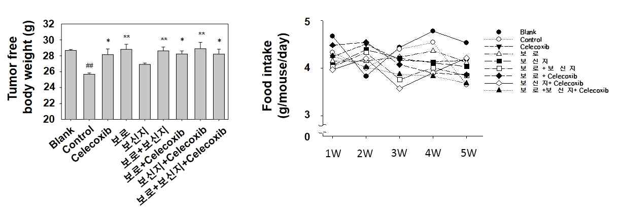 암성 악액질 동물모델에서 보로와 보신지 투여에 의한 체중감소 완화 확인
