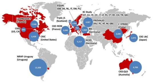 만성신장질환의 국제적인 네트워크를 형성하는 코호트 연구. Dienemann et al, 2016