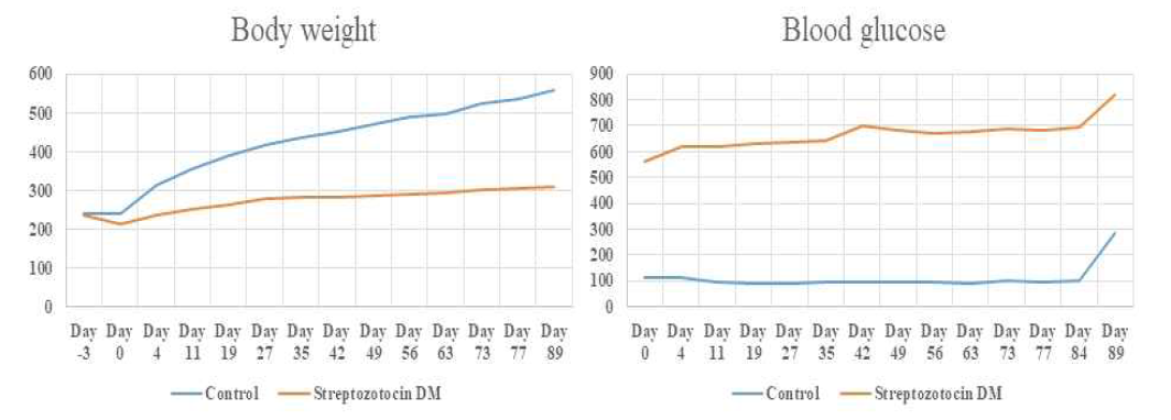 당뇨를 유도한 rat의 무게와 혈당의 변화