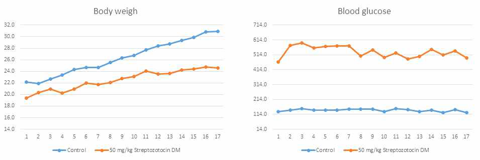 당뇨를 유도한 마우스의 무게와 혈당의 변화