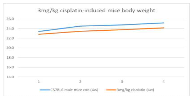 Cisplatin을 주사하여 질환을 유도한 마우스의 무게 변화