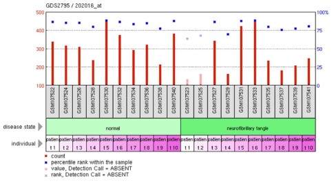 결론 치매 환자에서 Mest/Peg1 유전자의 조절 부위에 hypermethylation이 일어나게 되면 Mest/Peg1의 발현이 감소하고, 이에 따라 Wnt signaling의 증가가 Neurodegeneration을 유발함으로서 뇌줄기세포의 신경세포로의 분화를 억제하거나 신경세포의 사멸을 유발하여 치매를 유발하거나 진행을 가속화시킨다고 생각됨