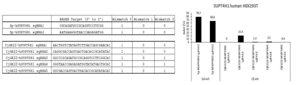 human SPT4의 타겟 SpCas9/CjCas9 유전자가위 서열 및 활성결과