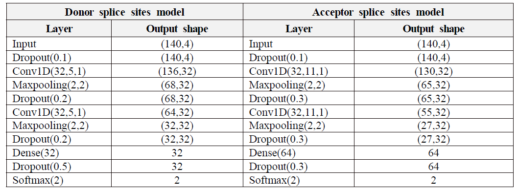 Donor 및 Acceptor 스플라이스 위치 예측을 위한 딥러닝 모델의 세구 구조