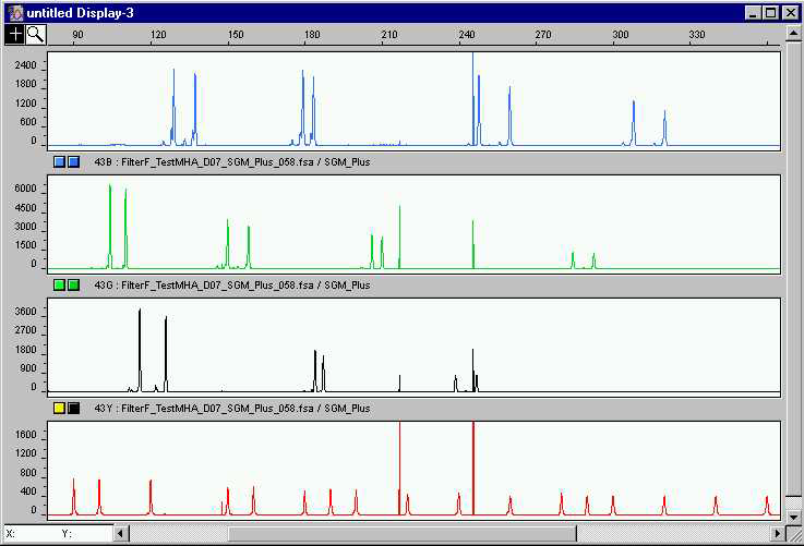 Gene scanning 방법을 통한 SNP marker들의 사이즈 측정 결과