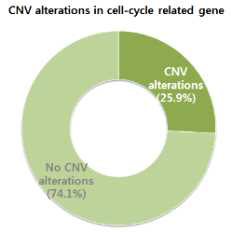 세포주기 관련 유전자의 CNV 변화
