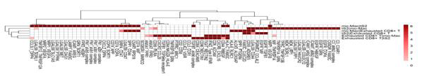 Primary tumor에서 tS2, mo-Mac, Exhuasted CD8+ T 세포간 유의한 Ligand-receptor interaction 리스트