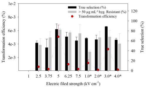 Electroporation 의 Electric field에 따른 transformation efficiency