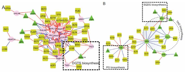 질소결핍조건에서 Chlamydomonas 의 막 지질(a)과 중성지질대사(b)와 전사인자의 네트워크 분석[Gargouri et. al. 2015]