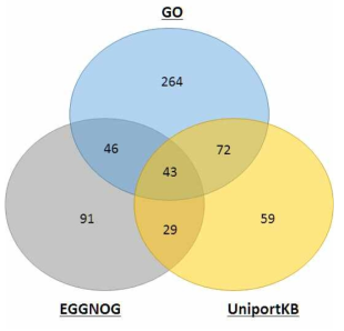 GO, EggNog, UniportKB의 DB 기반 annotation 된 Ettlia 전사인자의 분석