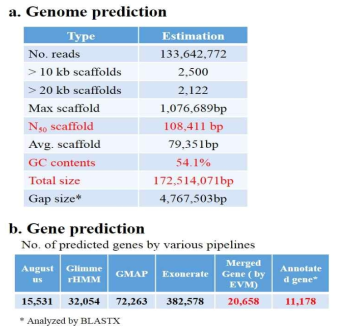 유전체 정보 (a)와 예측 된 유전자(b) 정보