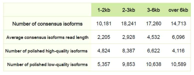 Size Library별 Consensus isoforms 정보
