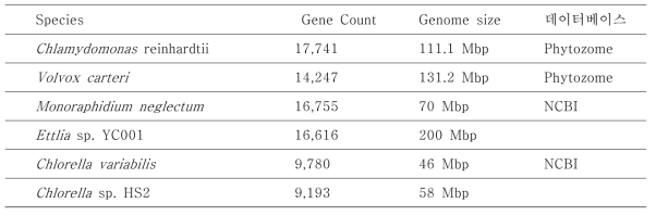 최종 선발된 유전자와 다른 미세조류 게놈 정보와의 비교