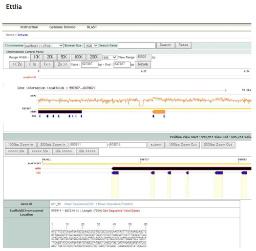 Ettlia Web-DB 구현