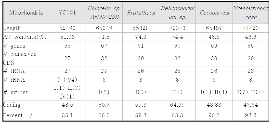 Ettlia 와 다른 미세조류 mitochondria genome 특성 비교