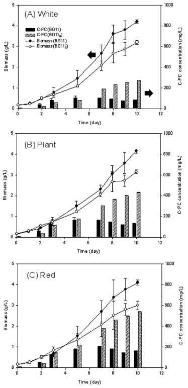 질소원과 광원의 종류에 따른 Nostoc sp. NK의 생장률 및 피코시아닌 농도