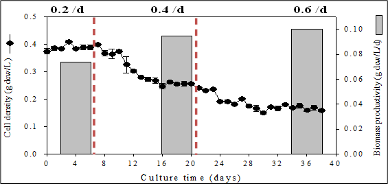70 μmol/m2/s에서 희석배율에 따른 Ettlia sp.의 세포농도 및 biomass 생산성