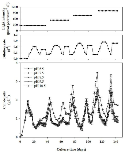 최대 바이오매스 생산성을 얻기 위한 광도, dilution rate, pH의 변화에 따른 Ettlia sp.의 바이오매스 농도 비교