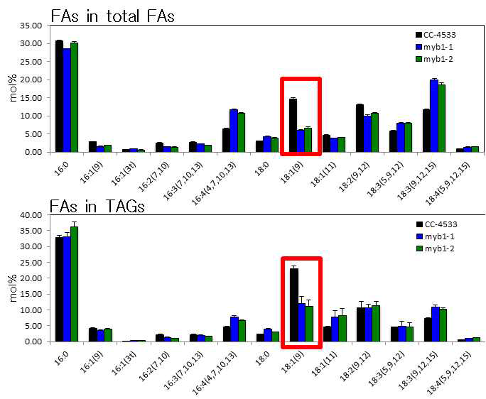 야생종 (CC-4533) 과 myb1 돌연변이체 간의 지방산 조성 비교. 야생종과 myb1 돌연변이는 질소 결핍조건에서 3일간 처리한 뒤 GC-FID를 이용하여 지질 분석을 진행하였음