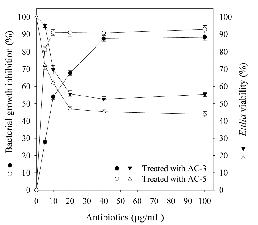 항생제 cocktail AC-3 과 AC-5의 미세조류 생존률과 박테리아 저해률