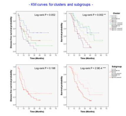5개 클러스터, 3개 서브그룹에 대한 생존분석 결과