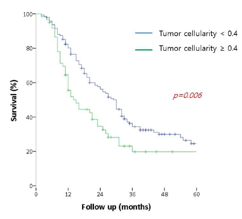 Tumor cellularity와 DFS와의 관계