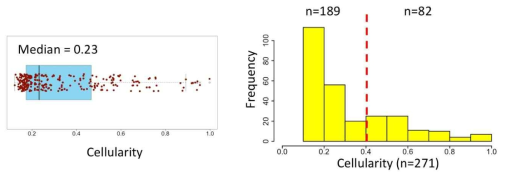 Tumor Cellularity 통계