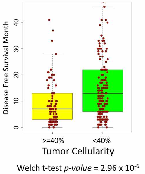 Tumor Cellularity, DFS, Recurrence의 관계