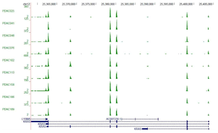 UCSC genome browser으로 본 KRAS 위치의 exome RNA-seq데이터