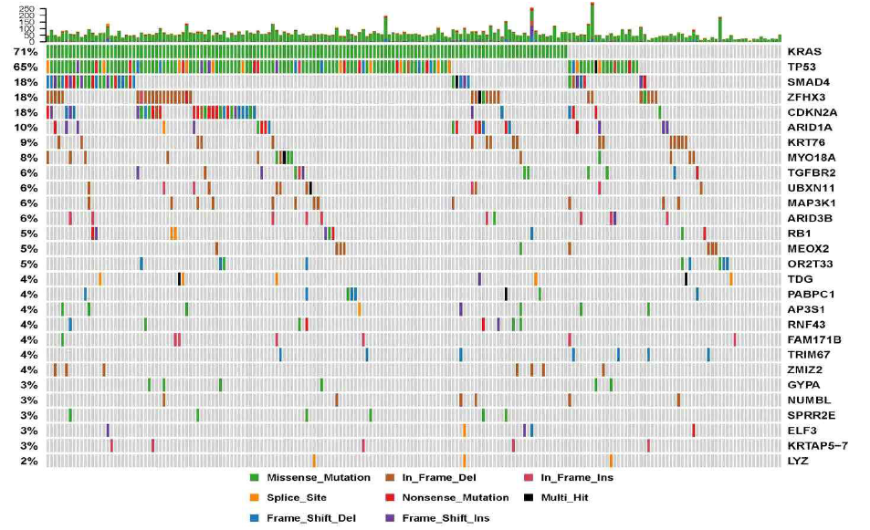 Most Significantly Mutated Genes in PDAC